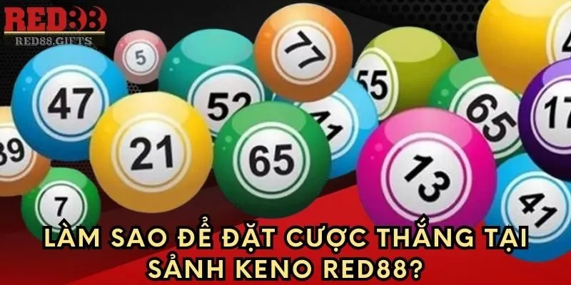 Làm sao để đặt cược thắng tại sảnh Keno Red88?